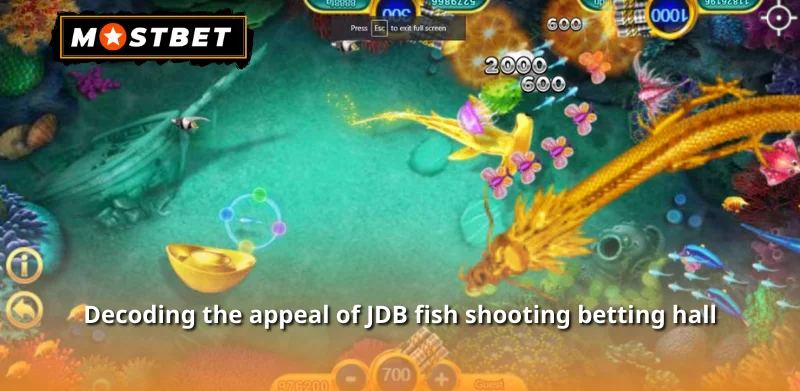 Decoding the appeal of JDB fish shooting betting hall