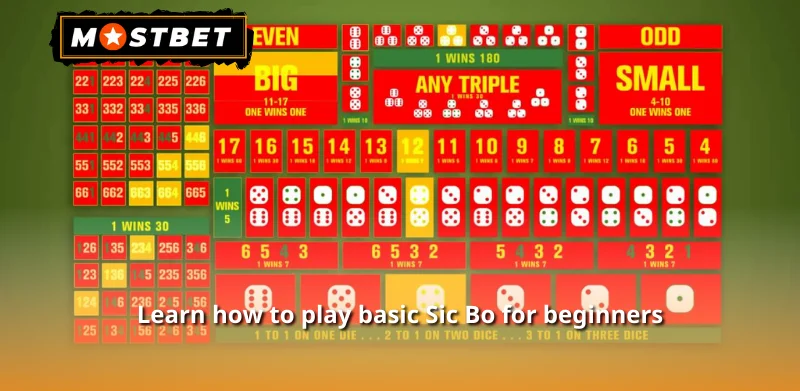 Learn how to play basic Sic Bo for beginners