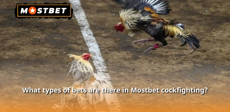 What types of bets are there in Mostbet cockfighting?